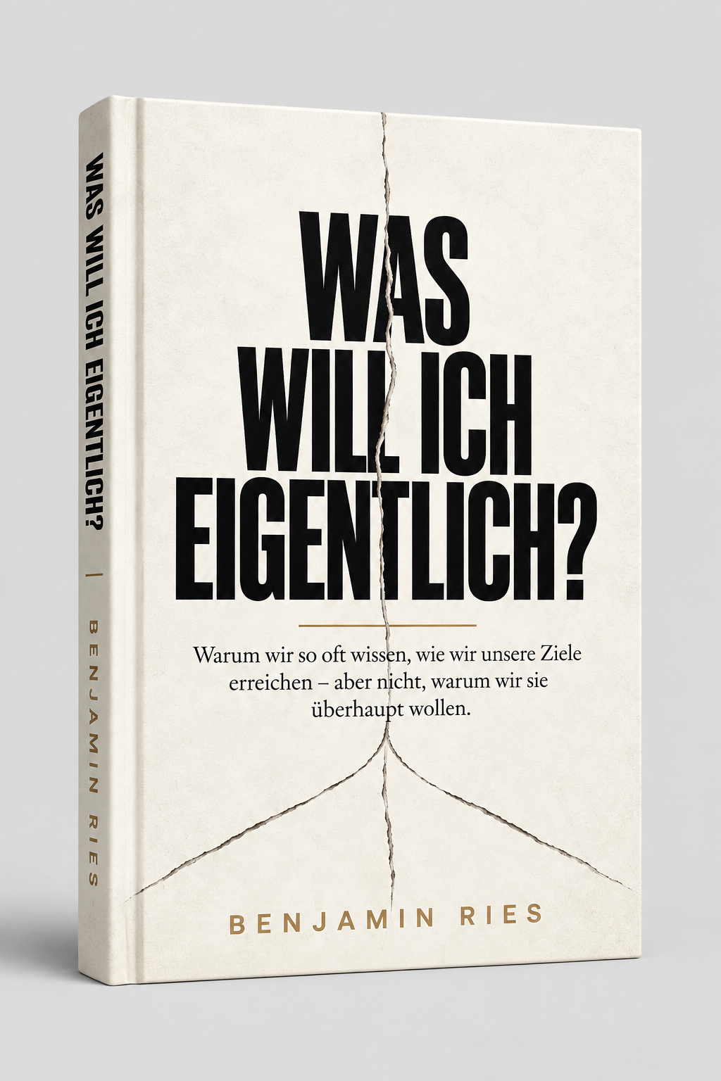 3D-Ansicht des Buches Was will ich eigentlich? von Benjamin Ries